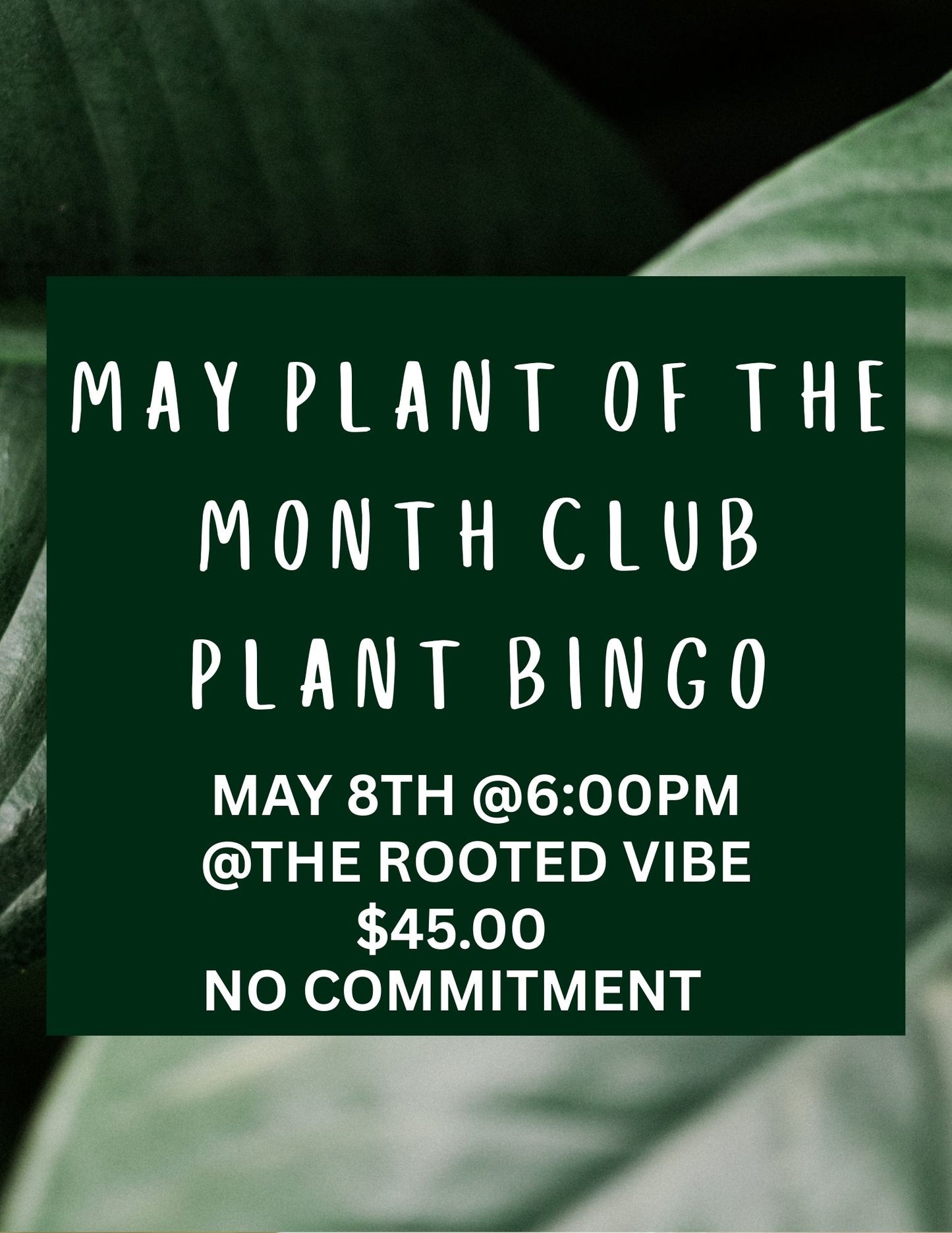 Plant of the Month Plant BiNGO