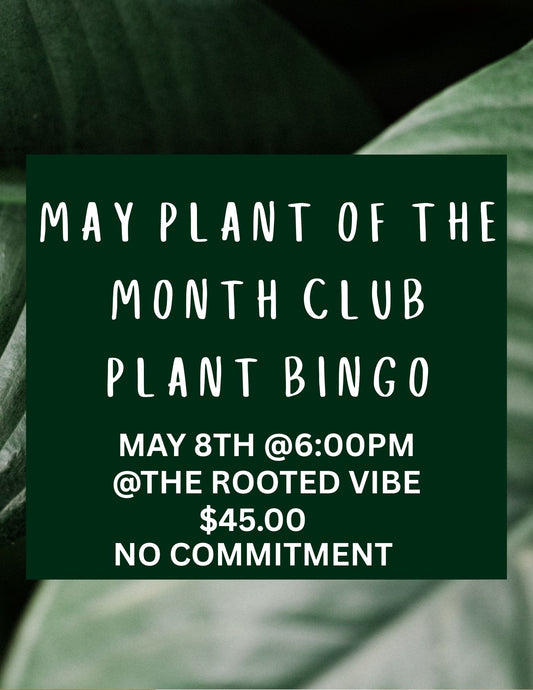 Plant of the Month Plant BiNGO