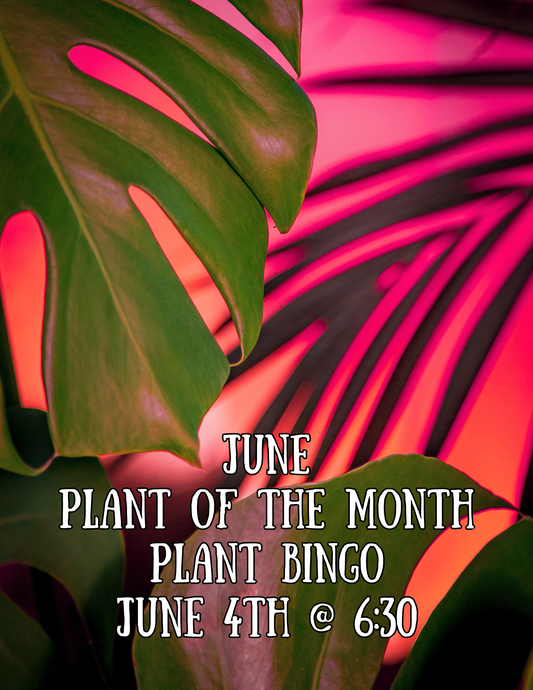 Plant of the Month Bingo