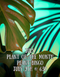Plant of the Month Club Plant Bingo