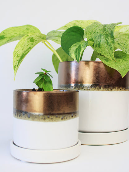 Bronze White Ceramic Plant Pot and Saucer