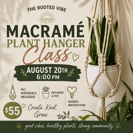 BOHO LIVING MACRAME PLANT HANGER CLASS