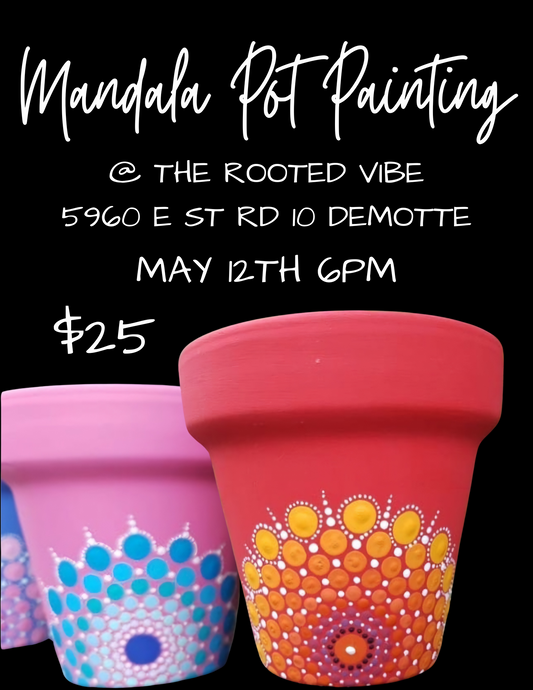 MANDALA DOT POT PAINTING
