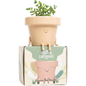 Frankie: Sitting Plant Pot