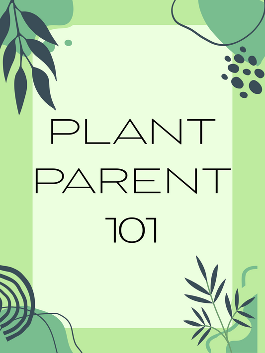 Plant Parent 101 APRIL 22ND 6:30PM