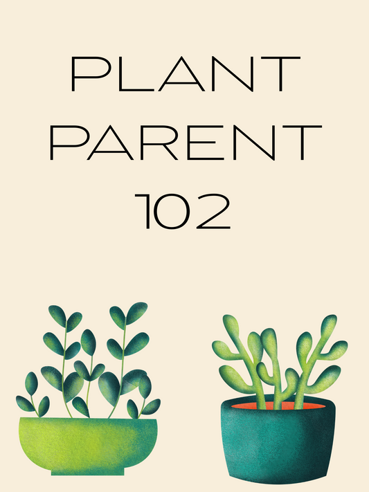 Plant Parent 102 APRIL 22ND 6:30PM