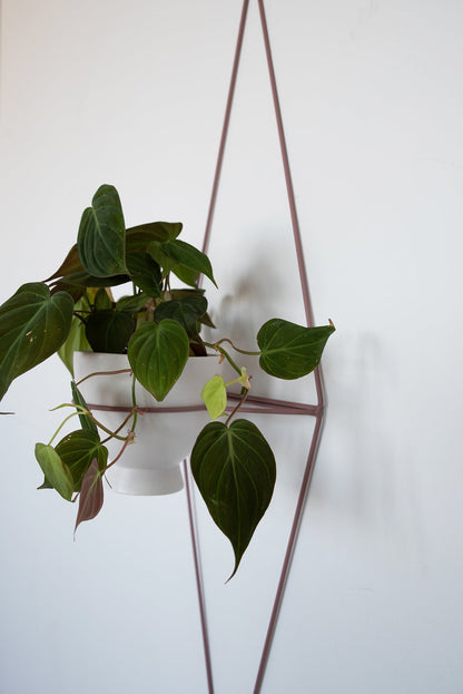 Diamond Eye Wall Planter