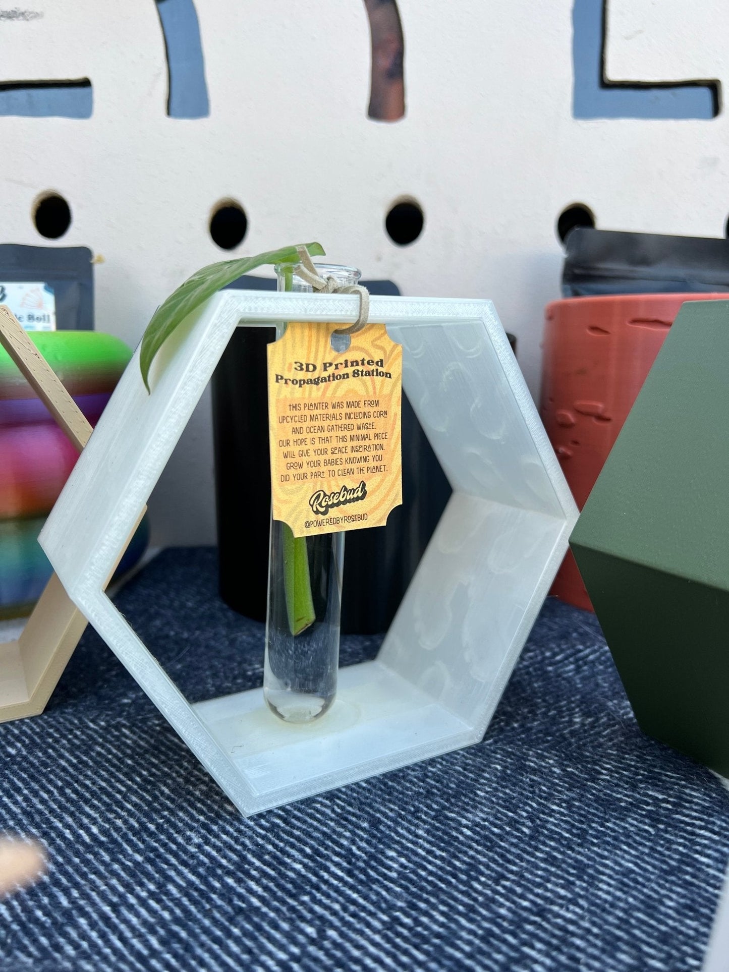 Hexagon Propagation Station