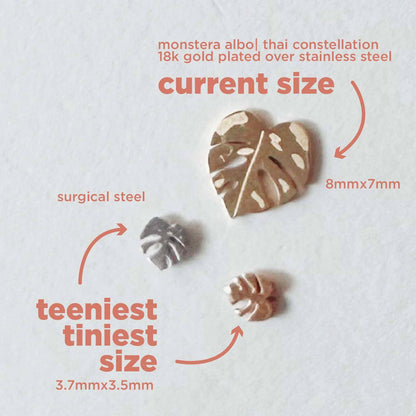 Flat Back Teeny Tiny Monstera Deliciosa Plant Studs