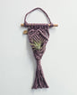 Macrame Air Plant Hanger
