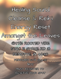 Healing Sound and Reiki Reset