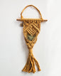 Macrame Air Plant Hanger